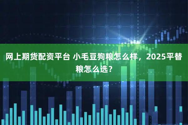 网上期货配资平台 小毛豆狗粮怎么样，2025平替粮怎么选？