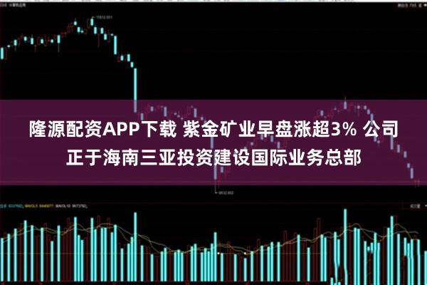 隆源配资APP下载 紫金矿业早盘涨超3% 公司正于海南三亚投资建设国际业务总部