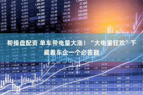 帮操盘配资 单车带电量大涨!“大电量狂欢”下藏着车企一个必答题