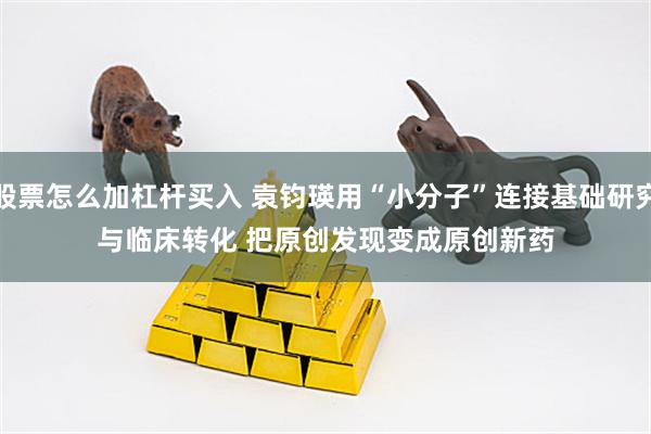 股票怎么加杠杆买入 袁钧瑛用“小分子”连接基础研究与临床转化 把原创发现变成原创新药